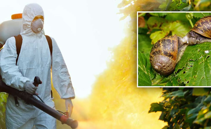 Salyangoz İlaçlama